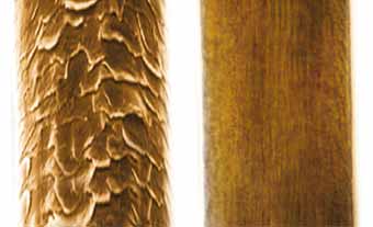 Damaged hair cuticle vs. Frizz Defense treated cuticle