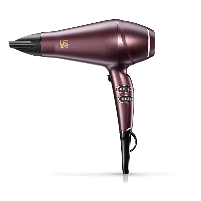 Frizz Defense AC Salon Dryer