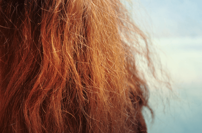 Hair Frizz